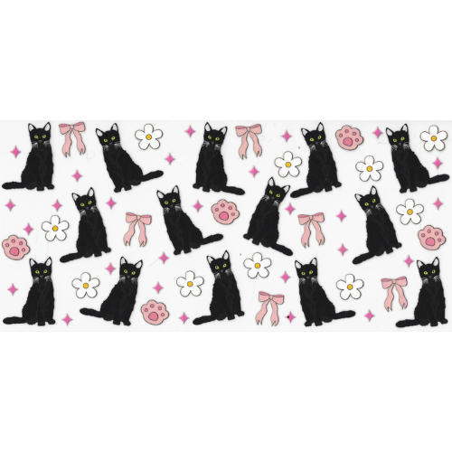 Animals 49 - Cats