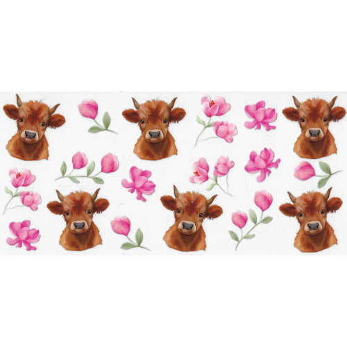 Animals 92 - Cows