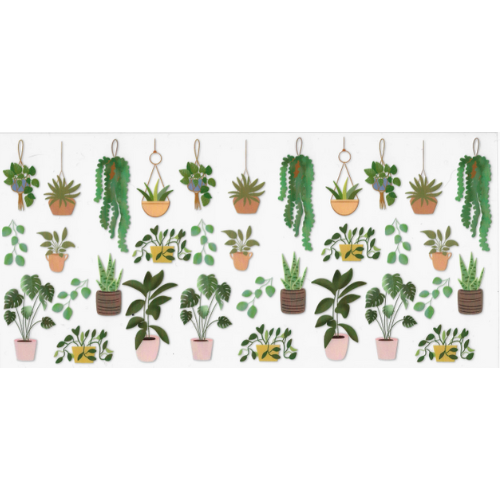 Plants 1